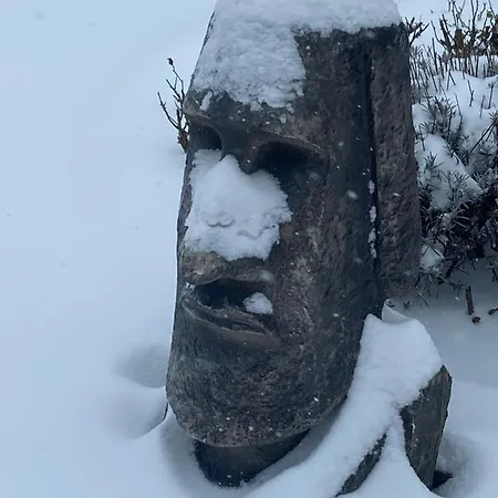 Mit Blick Ins Gruene * دورتموند