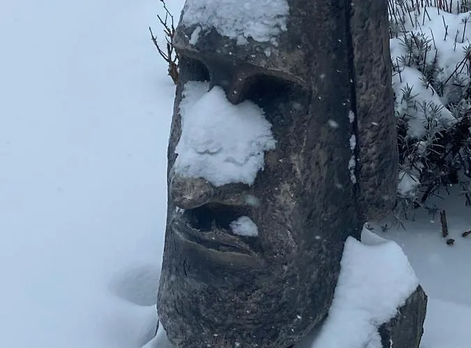 Mit Blick Ins Grüne * Dortmund